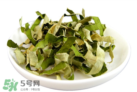 荷葉茶是寒性的嗎？荷葉茶是涼性還是熱性？