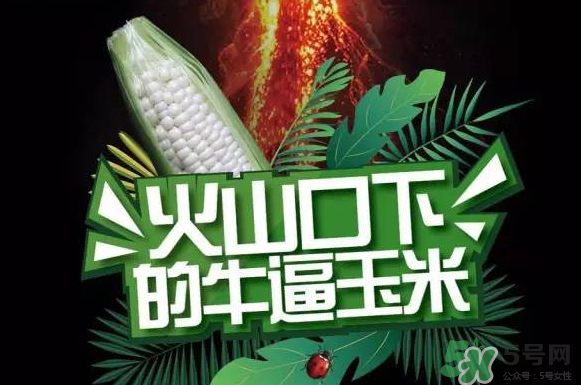 微玉冰糖玉米小孩可以吃嗎？微玉冰糖玉米營(yíng)養(yǎng)豐富嗎？