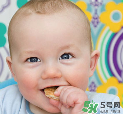磨牙餅干吃不完怎么辦？磨牙餅干吃到多大？