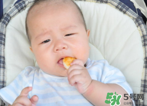 磨牙餅干吃不完怎么辦？磨牙餅干吃到多大？