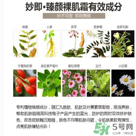 妙即素顏霜怎么樣？妙即素顏霜多少錢一盒？