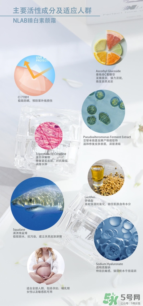 澳洲nlab素顏霜怎么用？nlab素顏霜孕婦可以用嗎