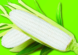 白玉米煮后變黃能吃嗎？白玉米為什么變黃了？