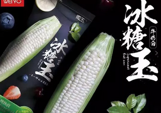 冰糖玉米?是轉基因嗎？冰糖玉米多少錢一斤？