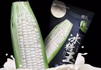 微玉冰糖玉米可以生吃嗎？微玉冰糖玉米安全嗎？