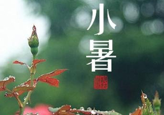 小暑種什么菜？小暑為什么要種牽?；ǎ?><p><strong>小暑種什么菜？小暑為什么要種牽?；?？</strong></p></a></li> <li><a href=
