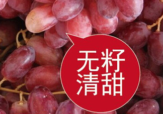 ?無籽紅提?孕婦能吃嗎吃嗎？孕婦能不能吃無籽紅提？