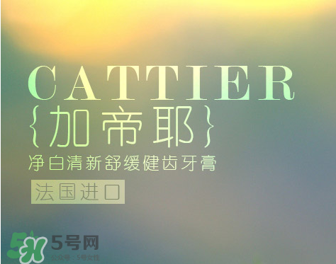 cattier加帝耶是什么牌子？法國(guó)cattier什么檔次？