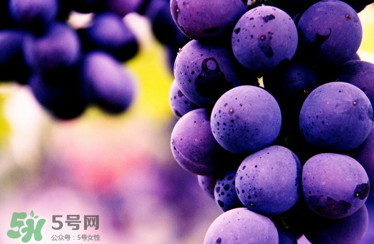 夏黑葡萄多少錢一斤？夏黑葡萄怎么挑選？