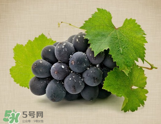 夏黑葡萄多少錢一斤？夏黑葡萄怎么挑選？