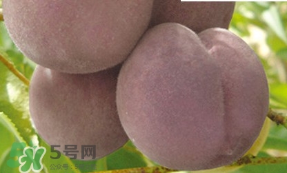 黑桃是什么水果？吃黑桃有什么好處？