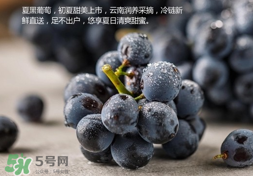 夏黑葡萄皮能吃嗎？夏黑葡萄怎么吃？