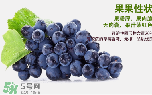 夏黑葡萄怎么洗？夏黑葡萄怎么洗才干凈？