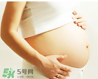 孕婦可以吃竹葉菜嗎？竹葉菜孕婦可以吃嗎？