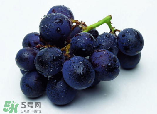 巨峰葡萄和葡萄有什么區(qū)別？巨峰葡萄是轉(zhuǎn)基因的嗎？