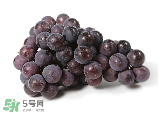巨峰和夏黑哪個好吃？哪個貴？有什么區(qū)別？