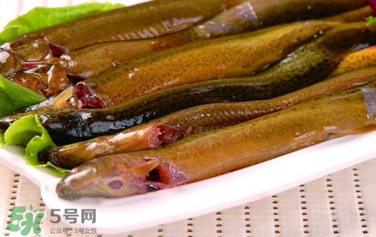 鰻魚是泥鰍嗎？鰻魚與泥鰍什么區(qū)別