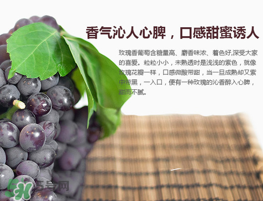 玫瑰香葡萄孕婦能吃嗎？孕婦可以吃玫瑰香葡萄嗎？