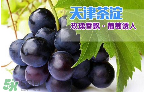 玫瑰香葡萄多少錢一斤？玫瑰香葡萄多少錢一斤2017？