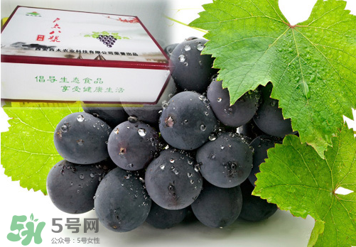戶太八號(hào)葡萄什么時(shí)候套袋？戶太八號(hào)葡萄什么月份套袋？