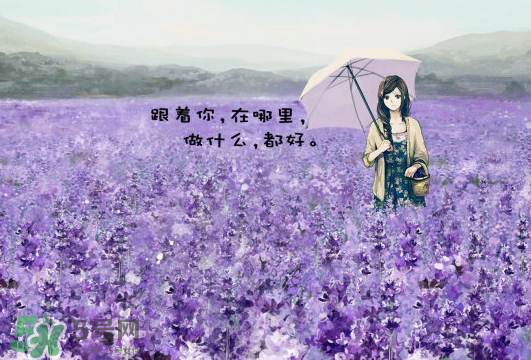 七月份還有薰衣草嗎？7月份還有薰衣草嗎？