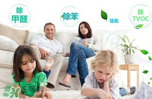 甲醛0.3可以入住嗎？空氣凈化器能除甲醛嗎