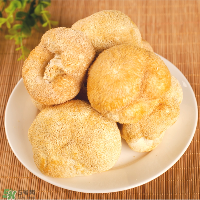 猴頭菇怎樣吃治胃??？猴頭菇能治胃病嗎？