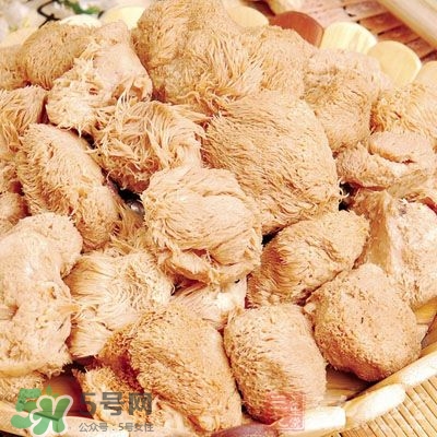 猴頭菇怎樣吃治胃?。亢镱^菇能治胃病嗎？