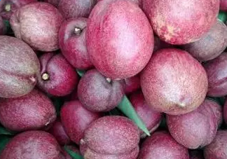 黑桃是什么水果？吃黑桃有什么好處？