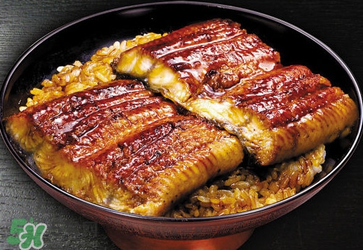 鰻魚飯熱量高嗎？鰻魚飯的熱量有多高