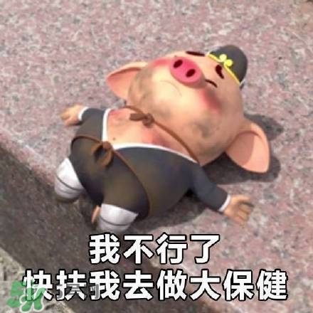 豬小屁表情包是什么？豬小屁表情包為什么這么火？