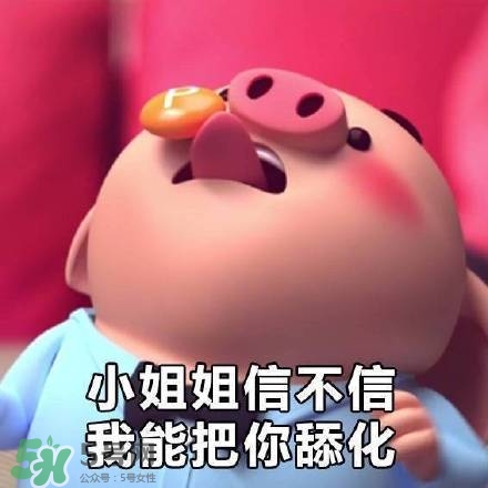 豬小屁表情包是什么？豬小屁表情包為什么這么火？