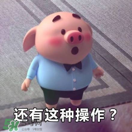 豬小屁表情包是什么？豬小屁表情包為什么這么火？