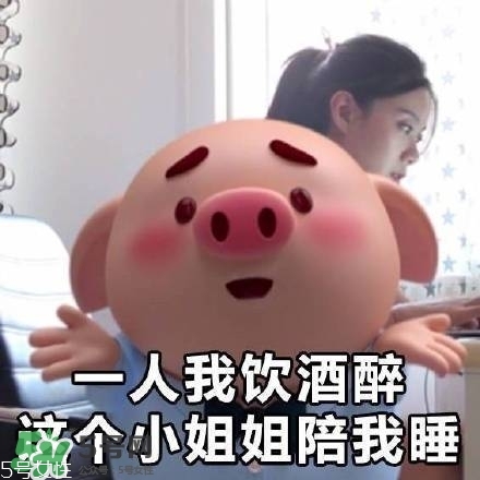 豬小屁多少錢一個？豬小屁哪里可以買到