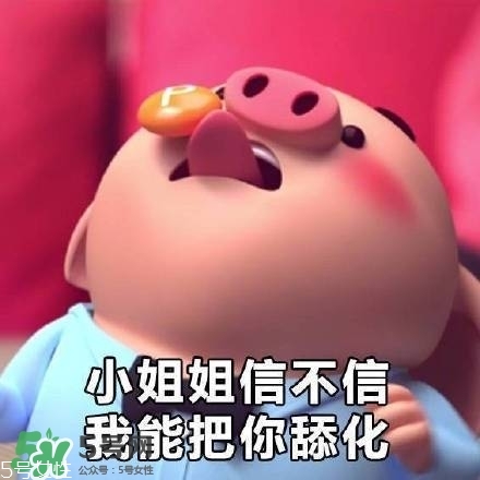豬小屁多少錢一個？豬小屁哪里可以買到