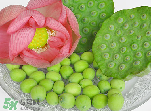 蓮蓬是水果嗎？蓮蓬是水果還是蔬菜？