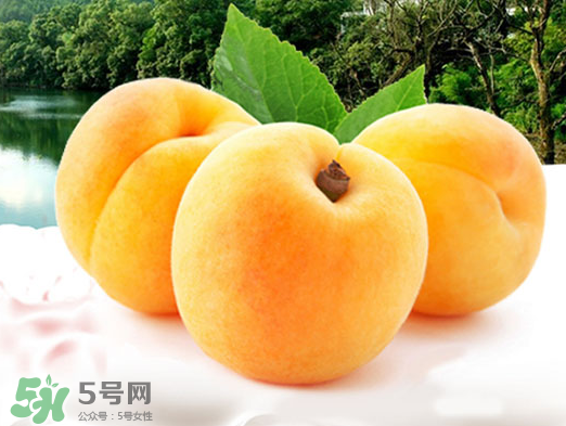黃桃是酸性還是堿性？黃桃罐頭是酸性還是堿性？