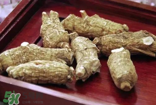 西洋參補(bǔ)腎嗎？西洋參適合什么季節(jié)吃