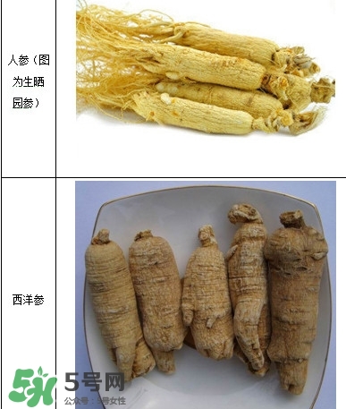 西洋參怎么吃效果最好？西洋參與人參的區(qū)別