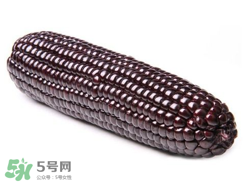 紫玉米會掉色嗎？紫玉米怎么會掉色？