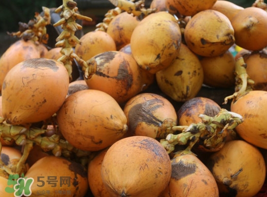 椰子什么時候成熟？椰子什么時候吃最好