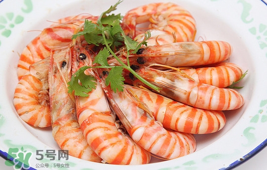 活的斑節(jié)蝦多少錢一斤？野生斑節(jié)蝦多少錢一斤