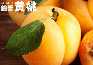 黃桃和香蕉能一起吃嗎？ 香蕉可以和黃桃一起吃嗎？