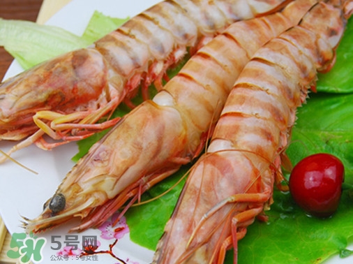 活的斑節(jié)蝦多少錢一斤？野生斑節(jié)蝦多少錢一斤