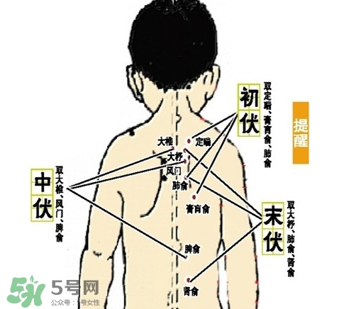 三九灸和三伏灸有什么區(qū)別？做完三伏灸要注意什么？