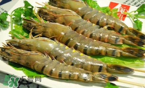 斑節(jié)蝦是九節(jié)蝦嗎？斑節(jié)蝦和九節(jié)蝦的區(qū)別