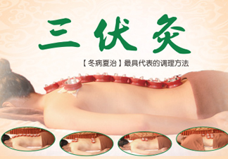 三伏灸灸哪里？三伏灸是每天都灸嗎
