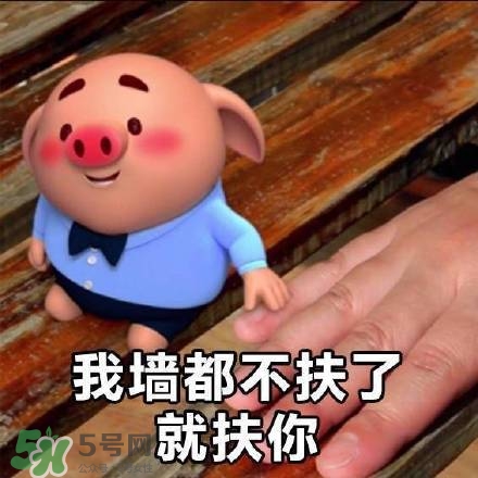 豬小屁表情包是什么？豬小屁表情包為什么這么火？
