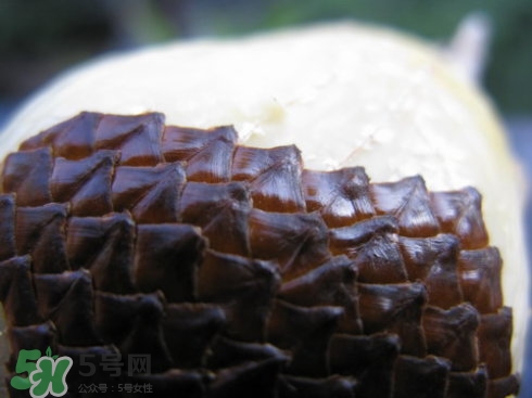 蛇皮果能生吃嗎？蛇皮果能放冰箱嗎？