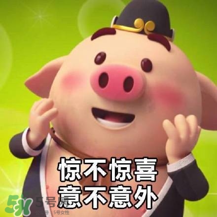 豬小屁表情包是什么？豬小屁表情包為什么這么火？